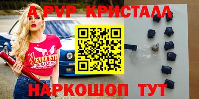 тгк Новозыбков