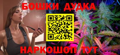тгк Новозыбков