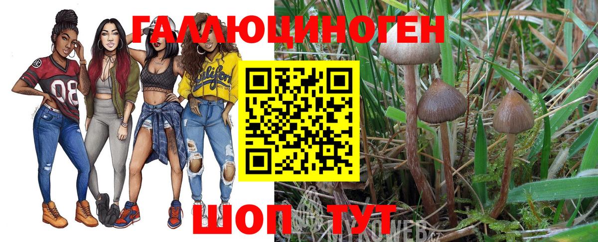 Псилоцибиновые грибы Psilocybe  Галлюциногенные грибы Magic Shrooms  Сухой Лог  Вход с VPN 