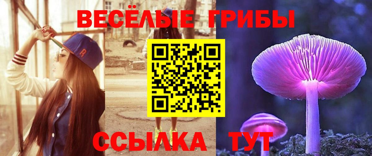 Галлюциногенные грибы Psilocybine cubensis Сухой Лог